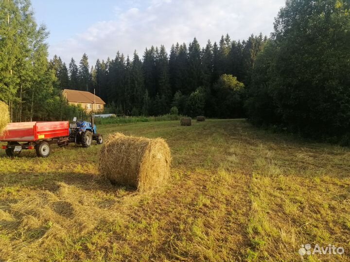 Продам сено в рулонах