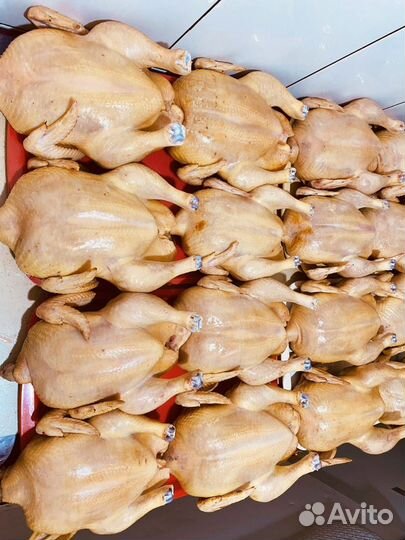 Куры бройлеры