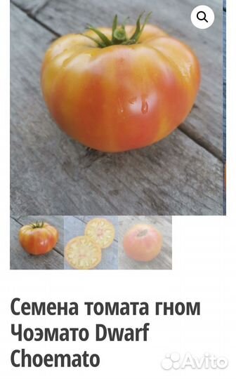 Семена томатов гном