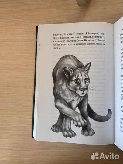 Книги Дети леса