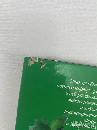 Комнатные растения