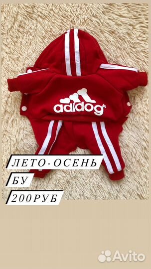 Одежда для собак мелких пород
