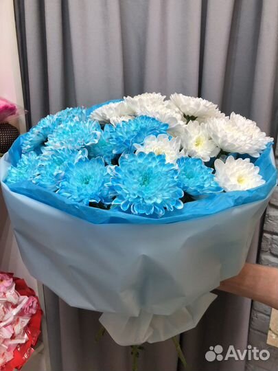 Букет из голубых хризантем