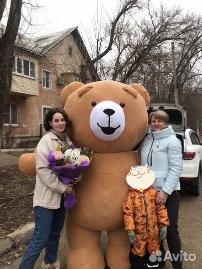 Поздравление от Мишки Тедди