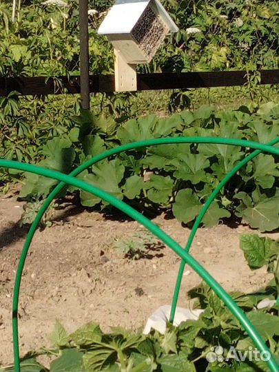 Домик для насекомых и разведение божьих каровок