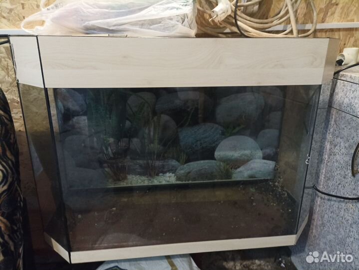 Аквариум