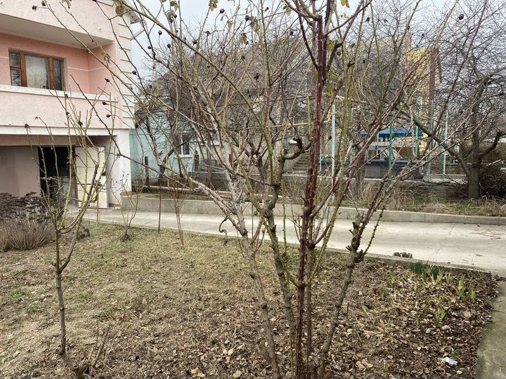 Дом 280 м² на участке 5 сот.