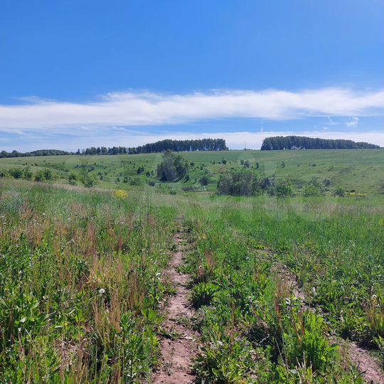 Участок 12,92 га (СНТ, ДНП)