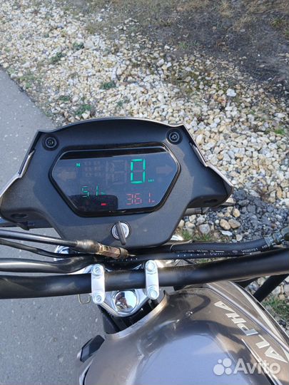 Мопед Alpha CM110-2A