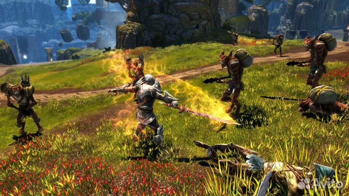 Kingdoms of Amalur: Re-Reckoning (Steam)