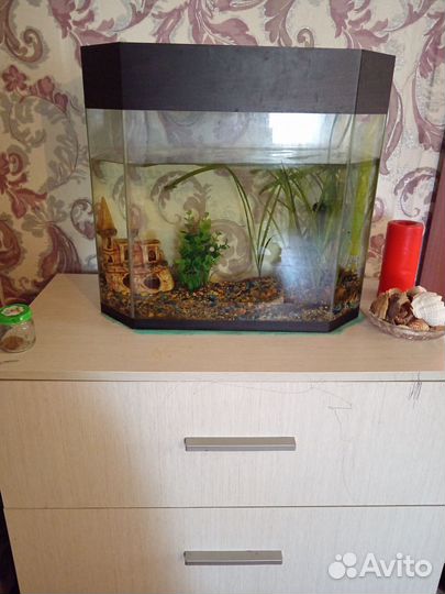 Аквариум