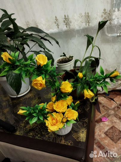 Цветы из бумаги