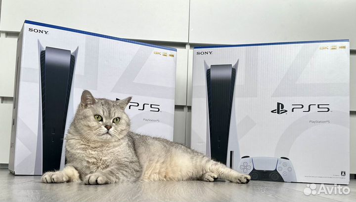 Sony Playstation 5