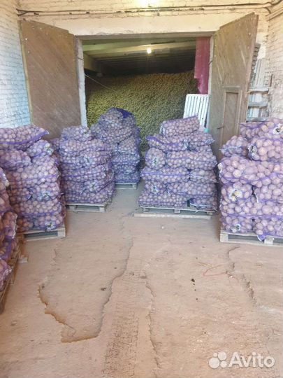 Овощи оптом