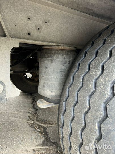 Полуприцеп рефрижератор Schmitz Cargobull SKO 24 L, 2021