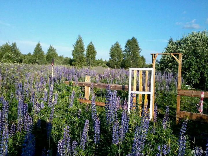 Участок 20 сот. (ИЖС)