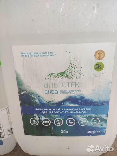 Суспензия хлореллы