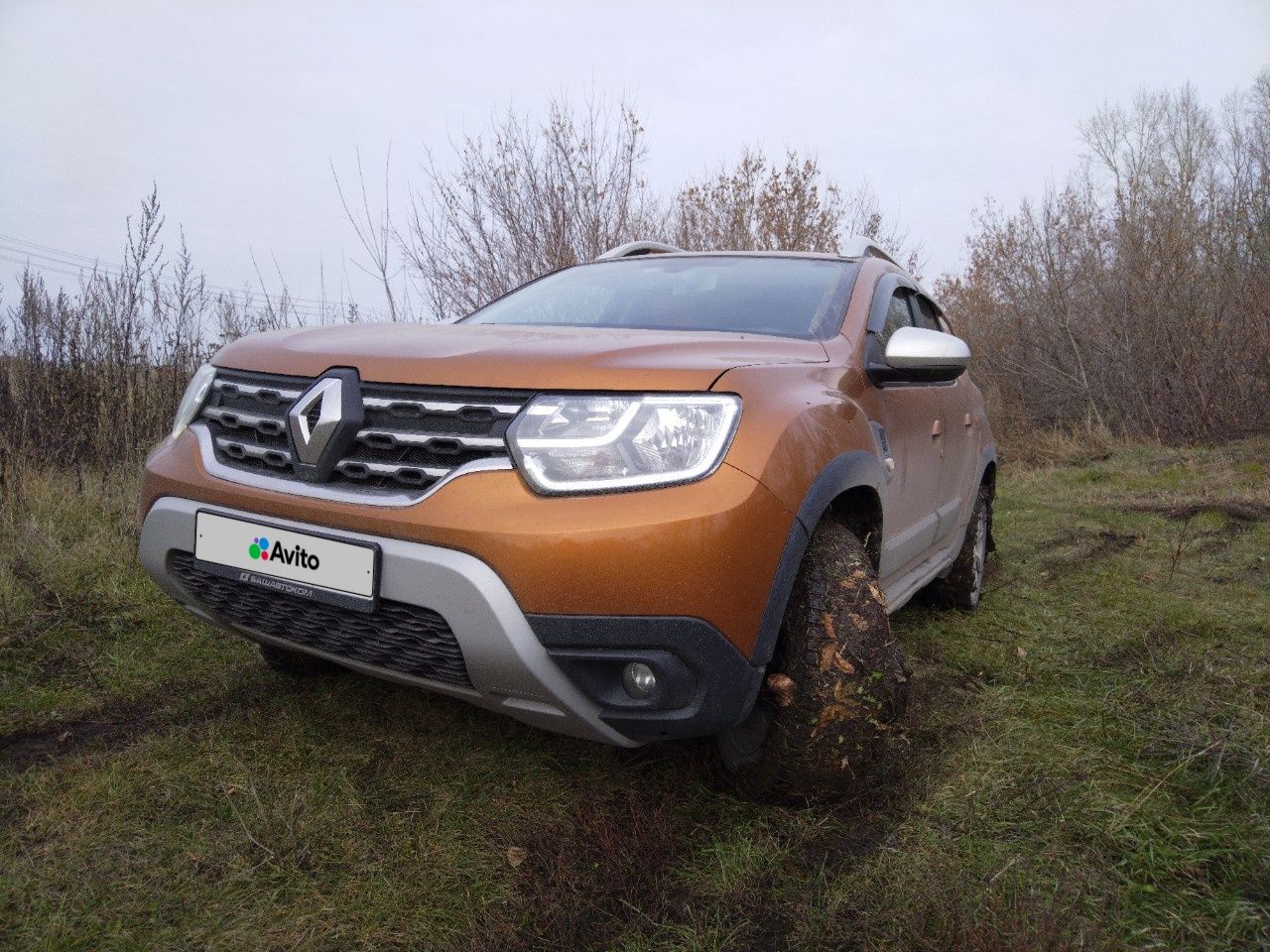 Renault Duster: фото владельца