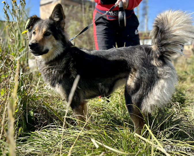 Бонечка девочка