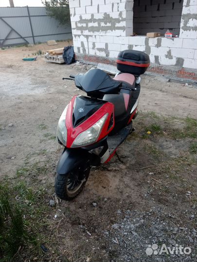 Irbis 50