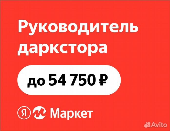 Заведующий даркстором Яндекс Маркет