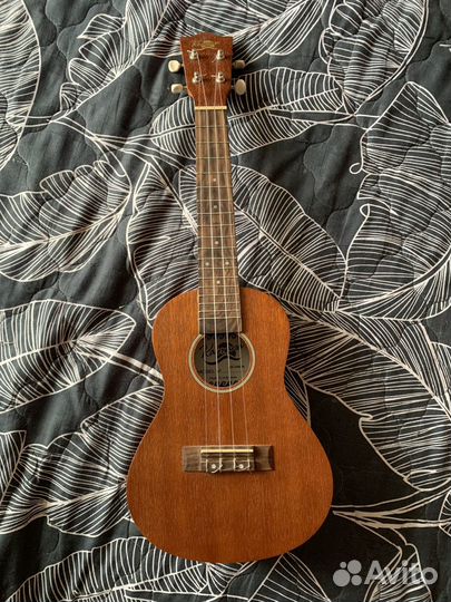 Укулеле концерт