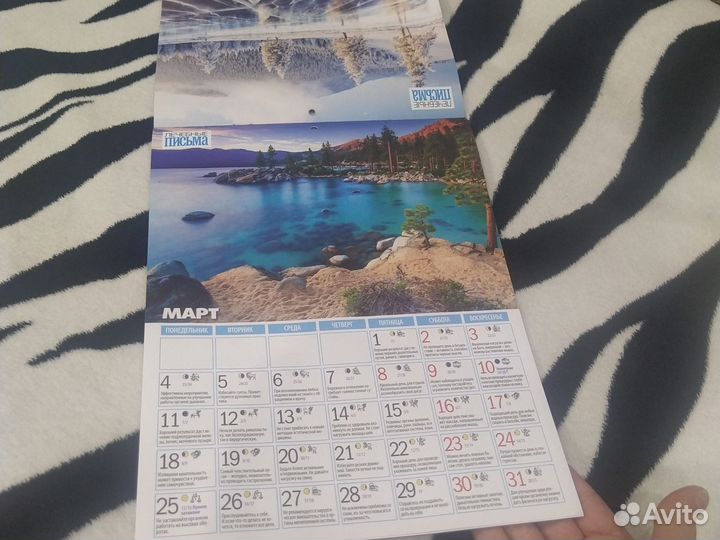 Лунный календарь здоровья 2024 год