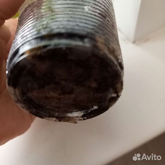 Замиокулькас Зензи
