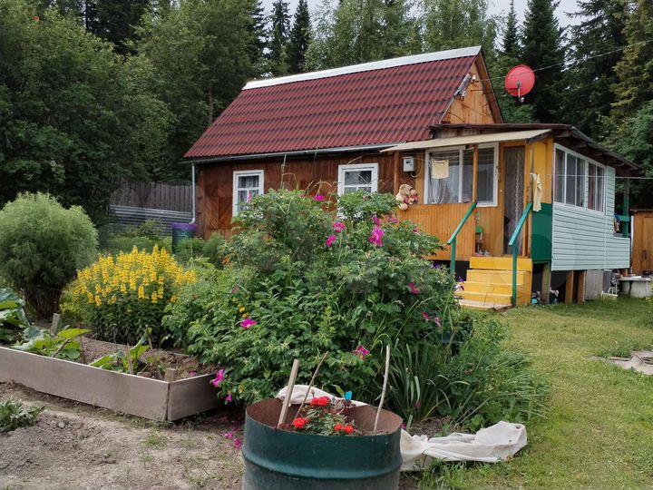 Дача 44 м² на участке 12 сот.