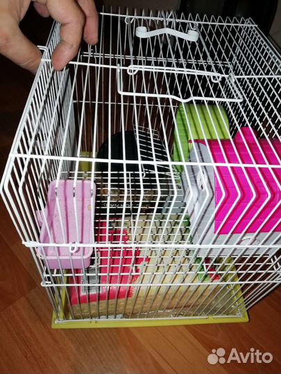 Клетка для хомяка большая