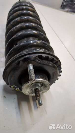 Амортизатор подвески Chevrolet Trailblazer, 2001