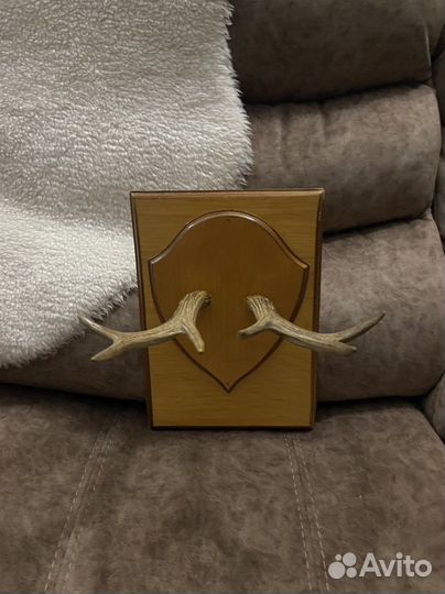 Рога на подставке