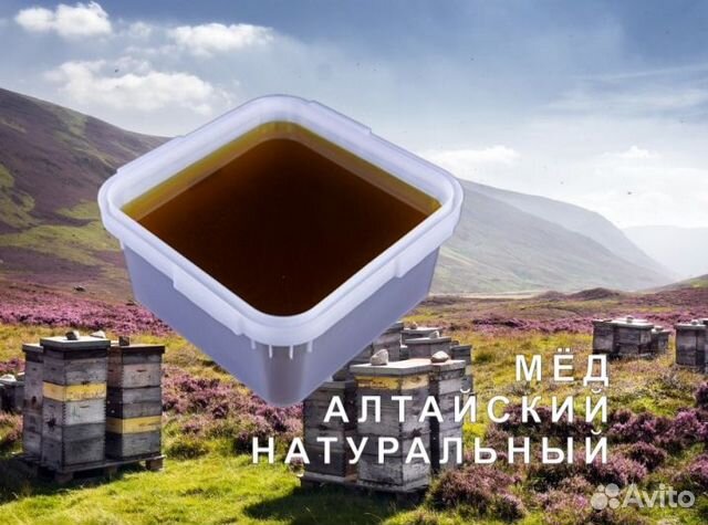 Мед натуральный с Алтая опт купить в Симферополе | Товары для дома и ...