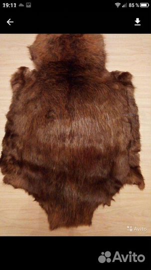 Шкурки ценного натурального меха