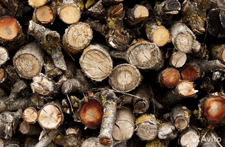 Дрова в ло