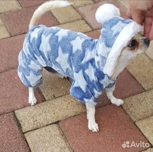 Комбинезон для собак