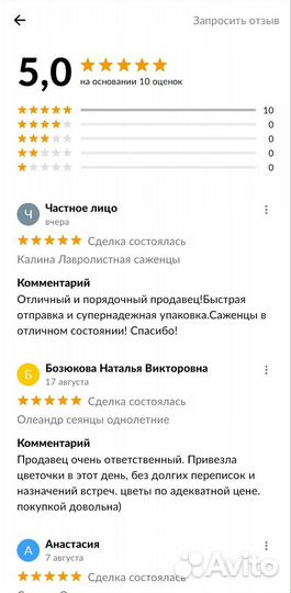 Олеандры розовые