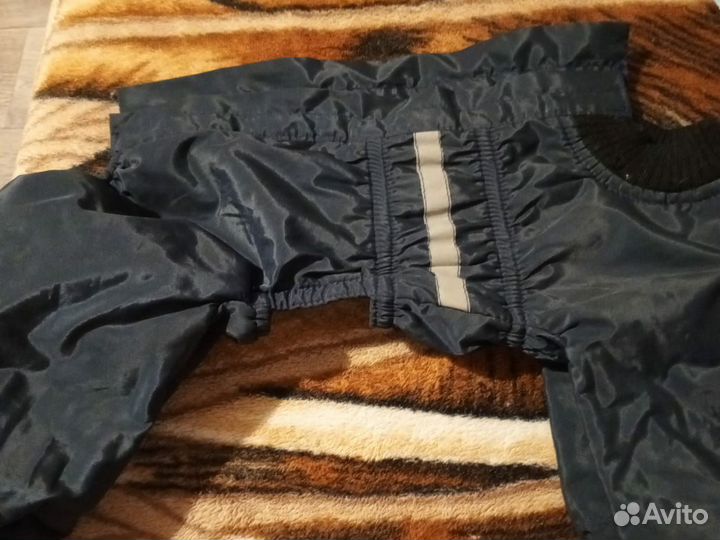 Зимний костюм для собак