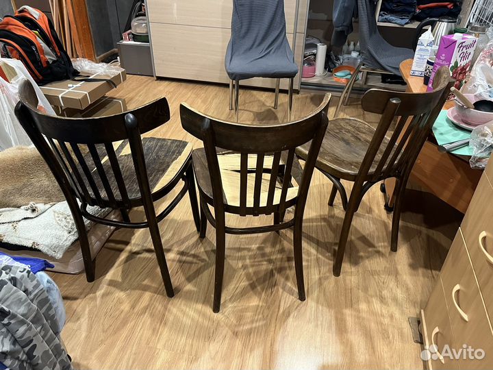 Стул венский 3 штуки цена за штуку