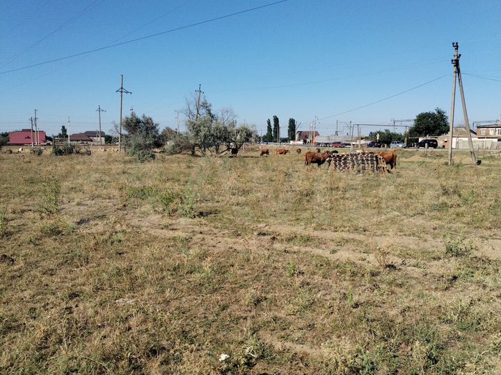 Участок 6 га (ИЖС)