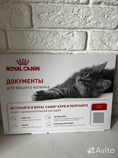 Подарочный набор для котенка