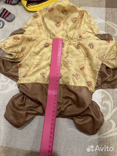 Одежда для собачки мелкой породы