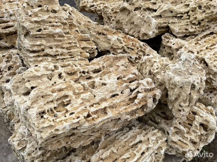 Миотис, Ракушечник, Камень для аквариума