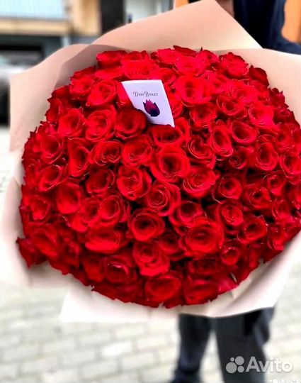 101 роза Цветы Букет