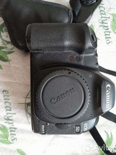 Canon 5D mark ii