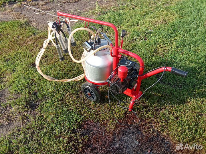 Доильный аппарат для коров