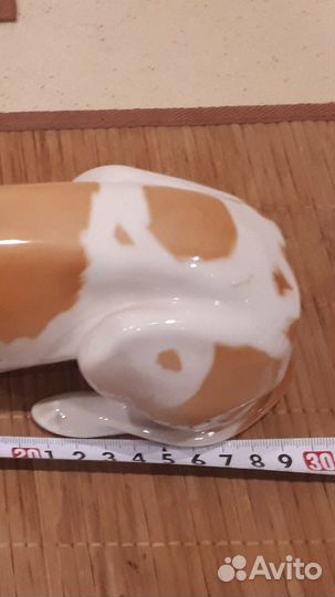 Статуэтка Рыжий Пойнтер фарфор лфз в/с 60е годы