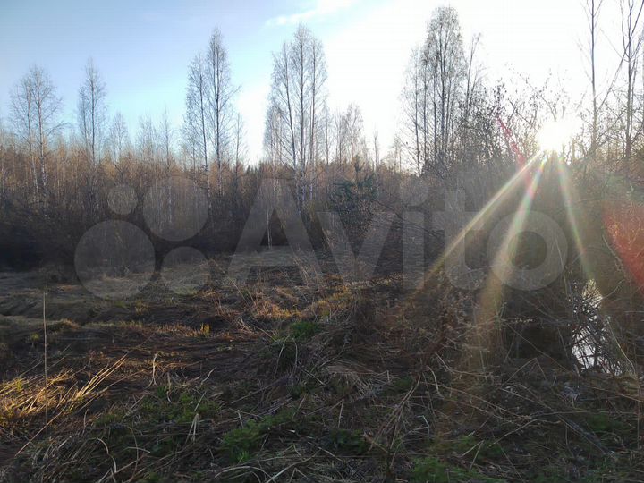 Участок 8,5 сот. (СНТ, ДНП)