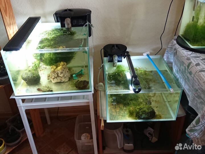 Аквариум с наполнением