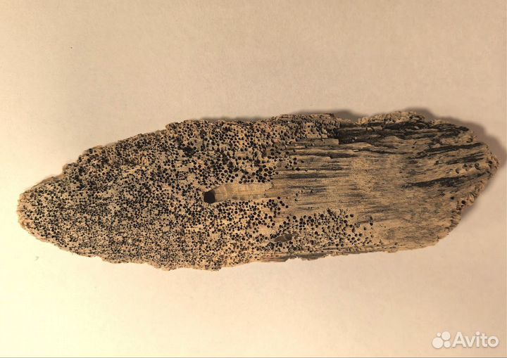 Коряга для декора дрифтвуд